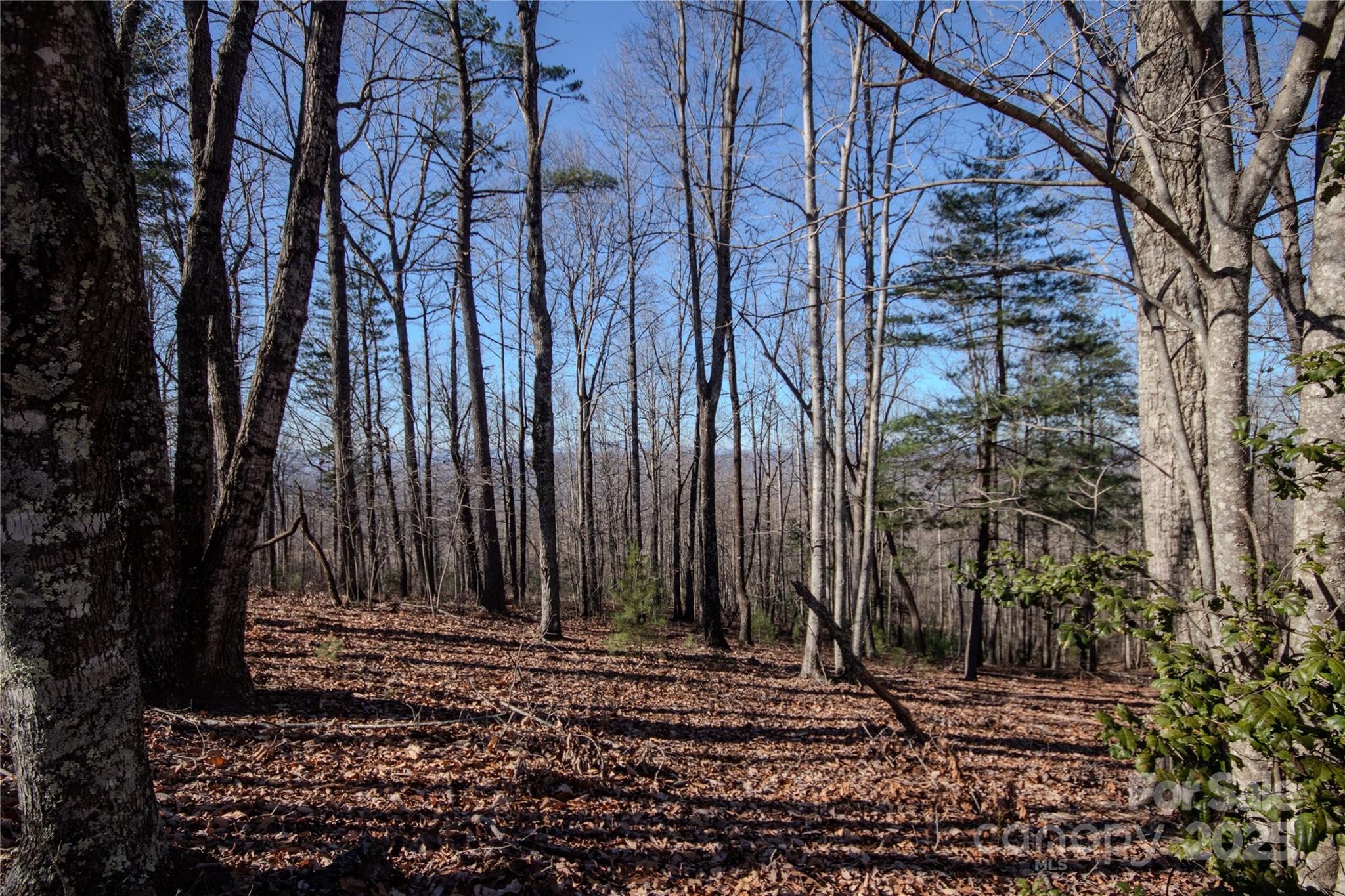 2212 Nighthawk Ridge Court, Unit 29 Lenoir, NC 28645 - Photo 3 of 11 a view of a backyard