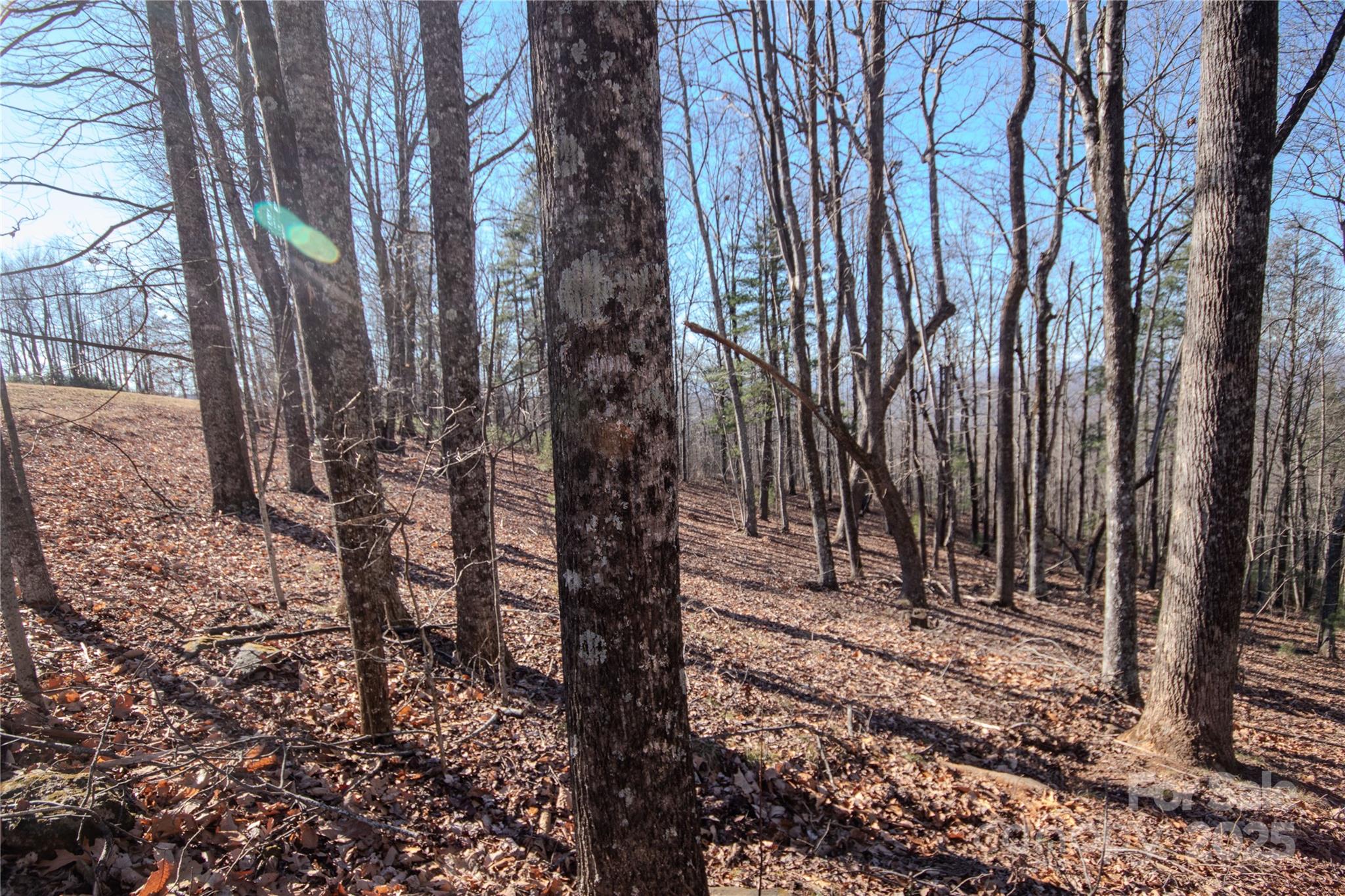 2212 Nighthawk Ridge Court, Unit 29 Lenoir, NC 28645 - Photo 6 of 11 a view of backyard with green space