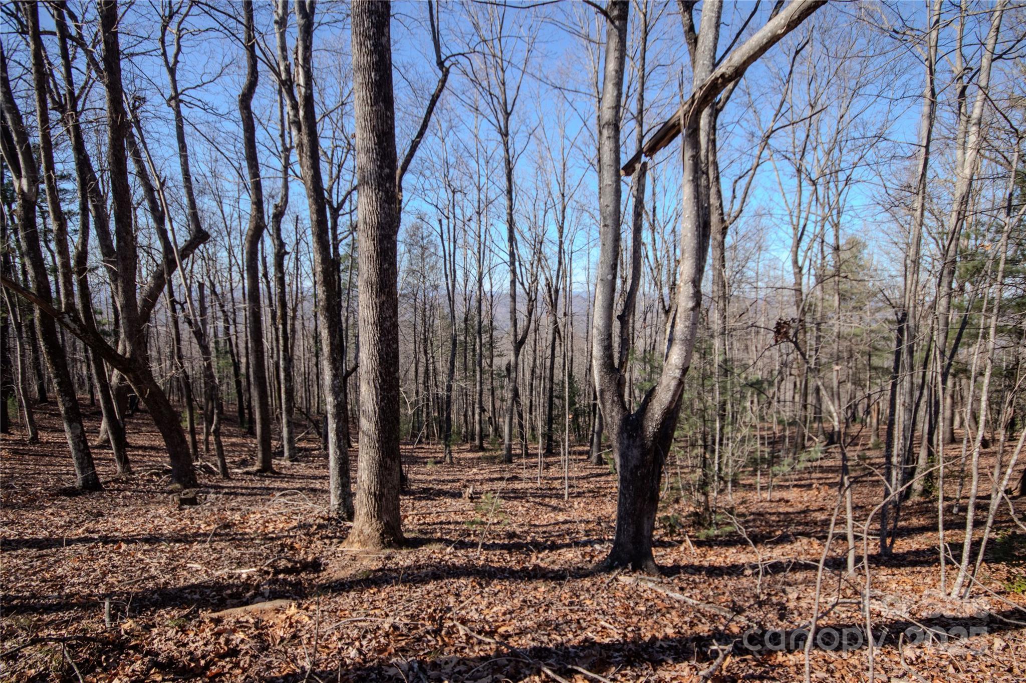 2212 Nighthawk Ridge Court, Unit 29 Lenoir, NC 28645 - Photo 7 of 11 a view of a backyard with large trees