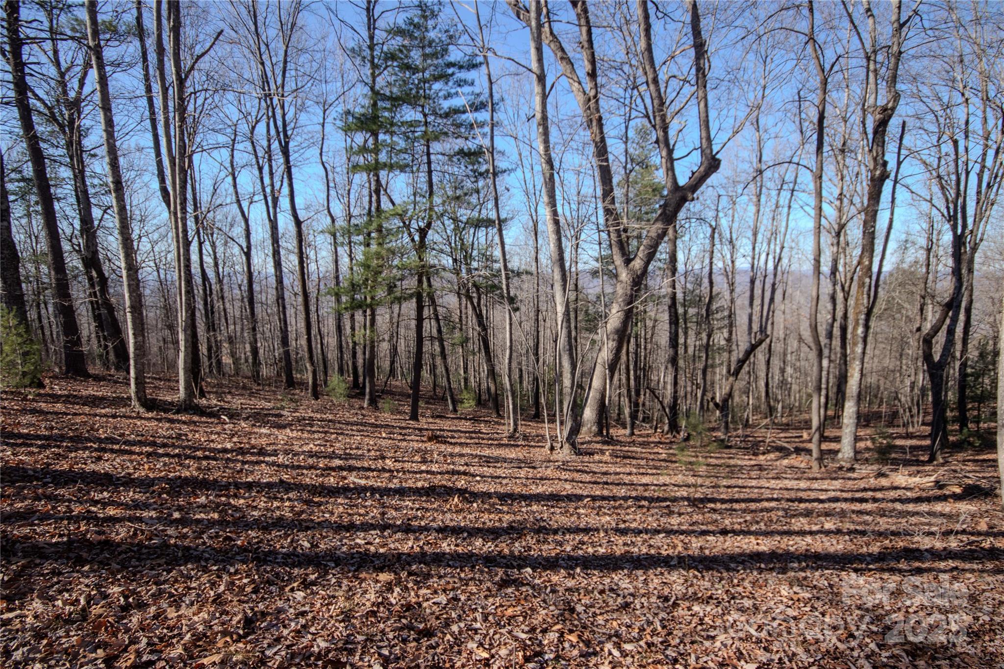 2212 Nighthawk Ridge Court, Unit 29 Lenoir, NC 28645 - Photo 8 of 11 a view of a backyard with green space