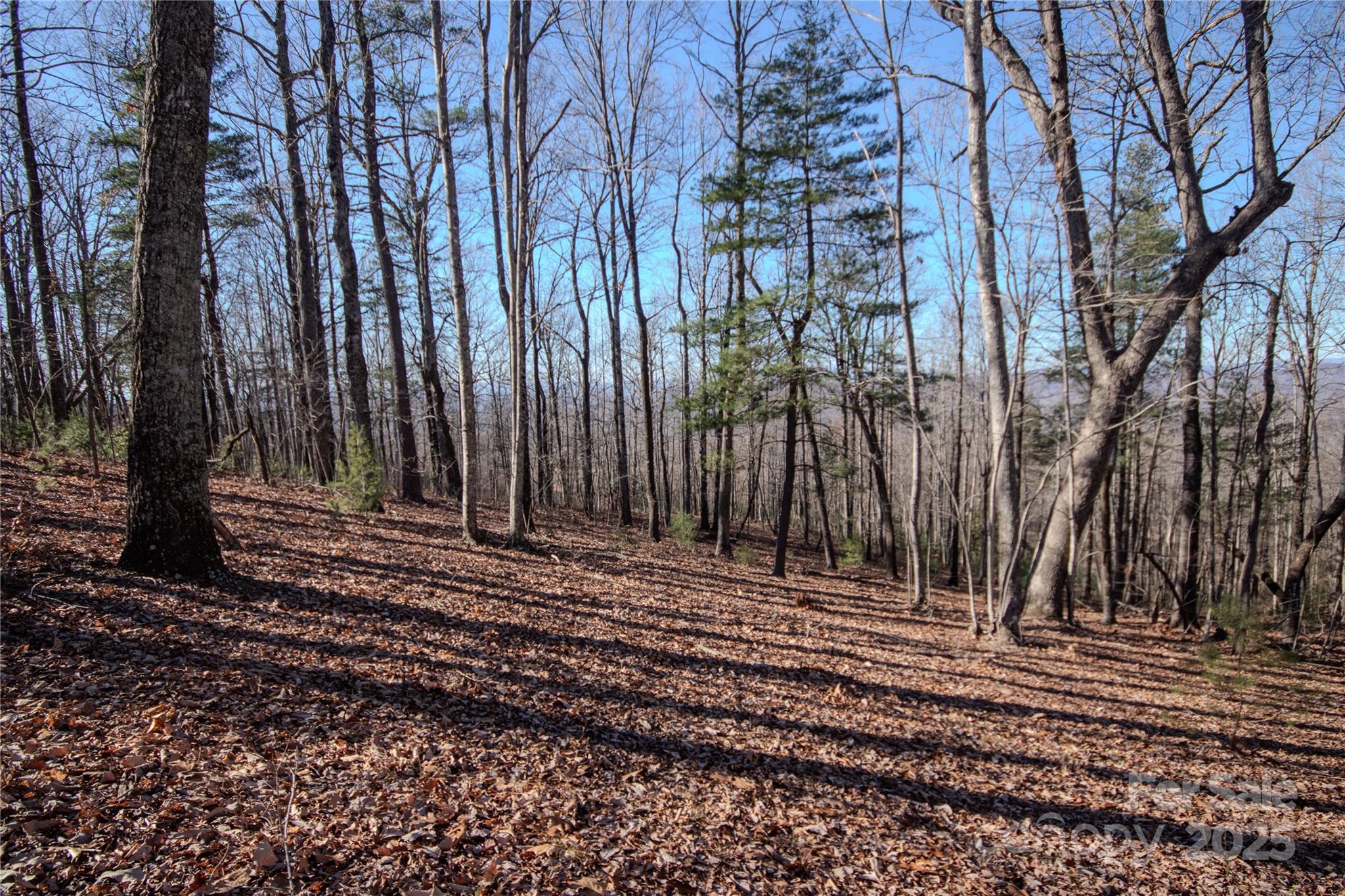 2212 Nighthawk Ridge Court, Unit 29 Lenoir, NC 28645 - Photo 9 of 11 a view of a backyard with large trees