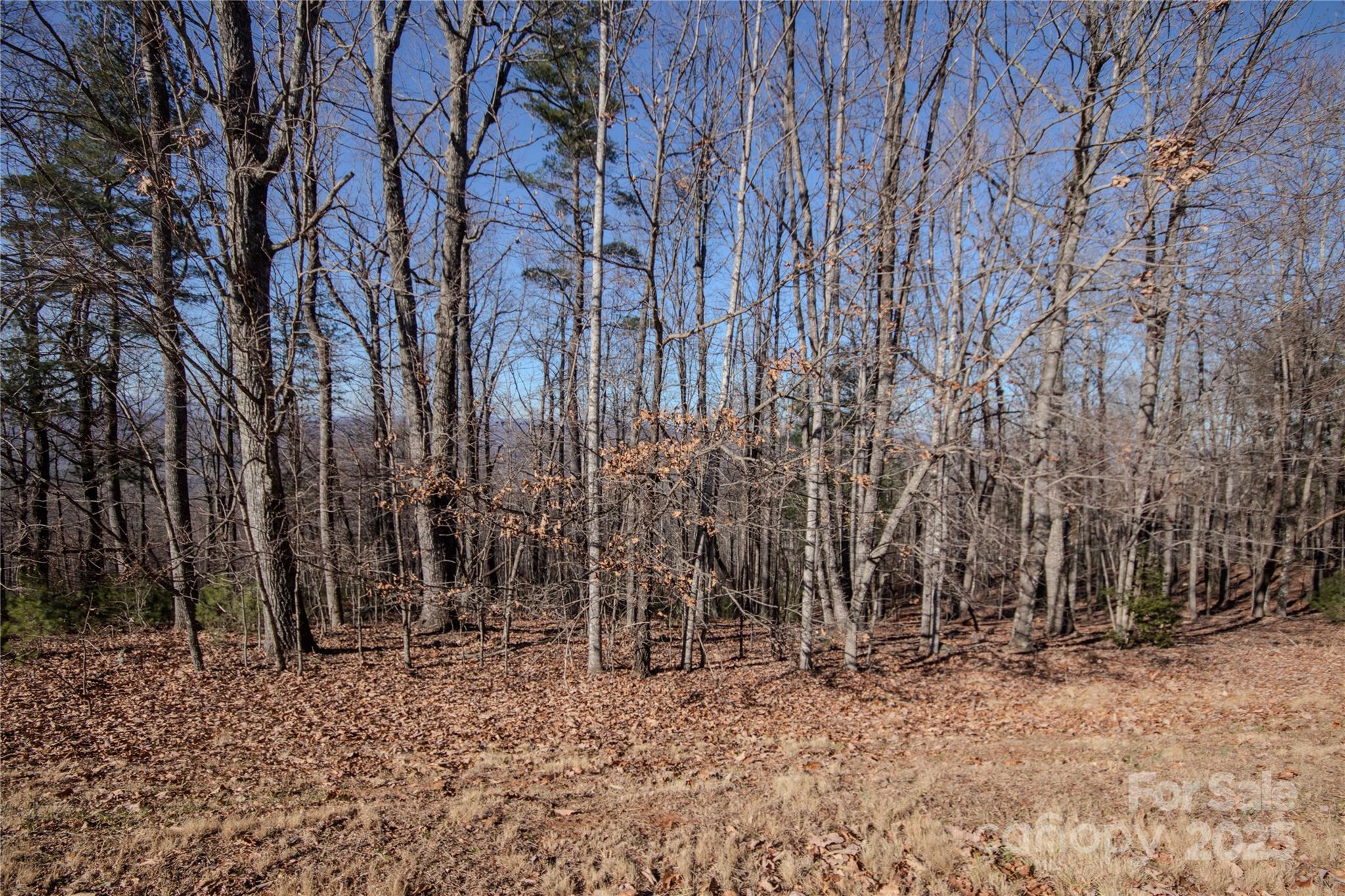 2212 Nighthawk Ridge Court, Unit 29 Lenoir, NC 28645 - Photo 10 of 11 a backyard of a house with lots of trees