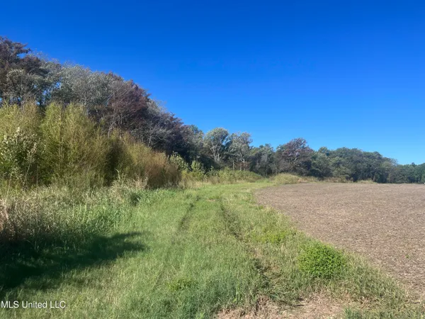 $139,500 | 516 County Road, Schlater, MS 38952