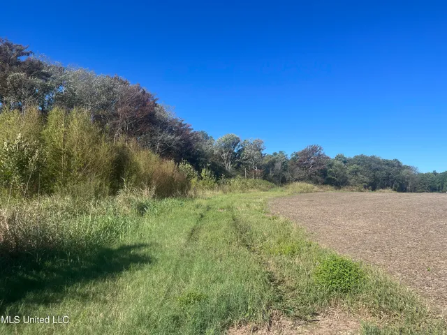 $139,500 | 516 County Road, Schlater, MS 38952