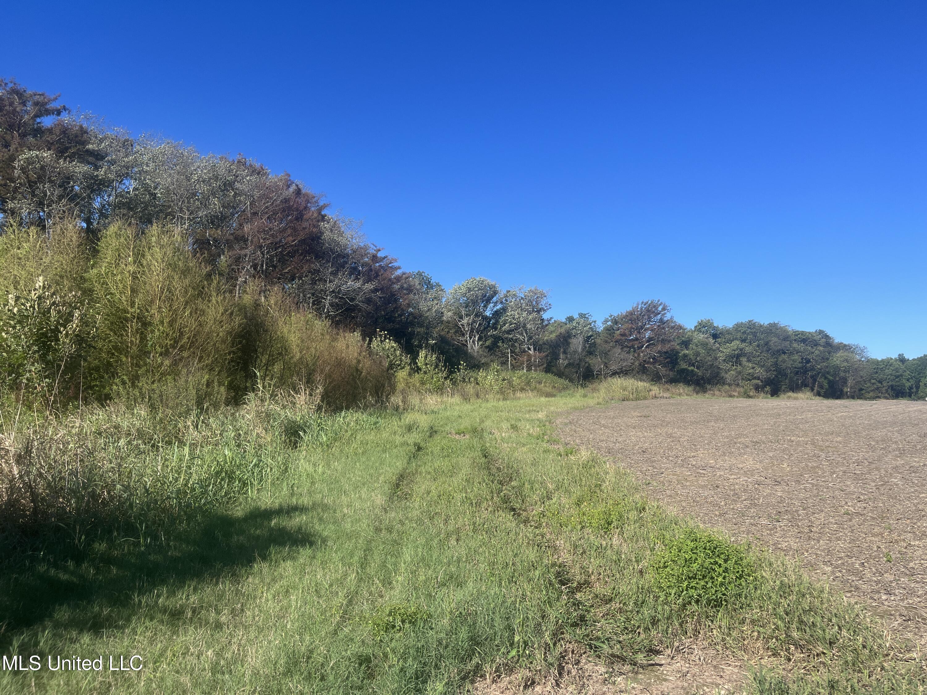 516 County Road Schlater, MS 38952 - Photo 11 of 17 IMG_7761