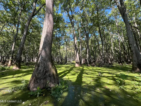 $139,500 | 516 County Road, Schlater, MS 38952