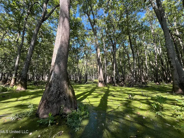 $139,500 | 516 County Road, Schlater, MS 38952