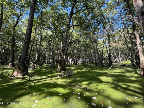 $139,500 | 516 County Road, Schlater, MS 38952