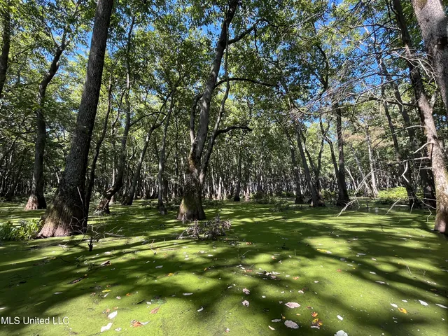 $139,500 | 516 County Road, Schlater, MS 38952