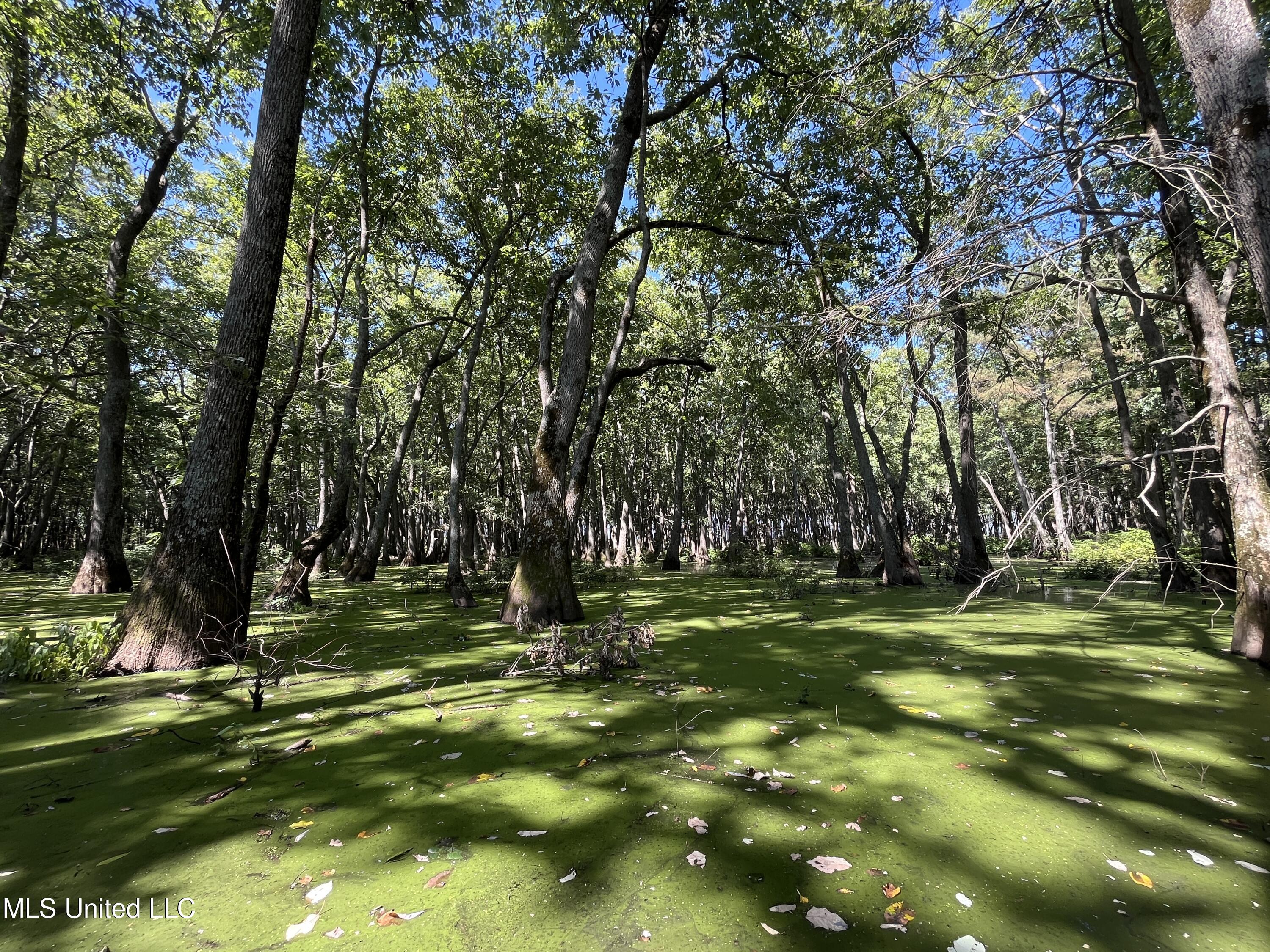 516 County Road Schlater, MS 38952 - Photo 13 of 17 IMG_7836