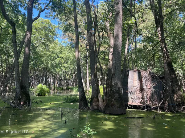 $139,500 | 516 County Road, Schlater, MS 38952