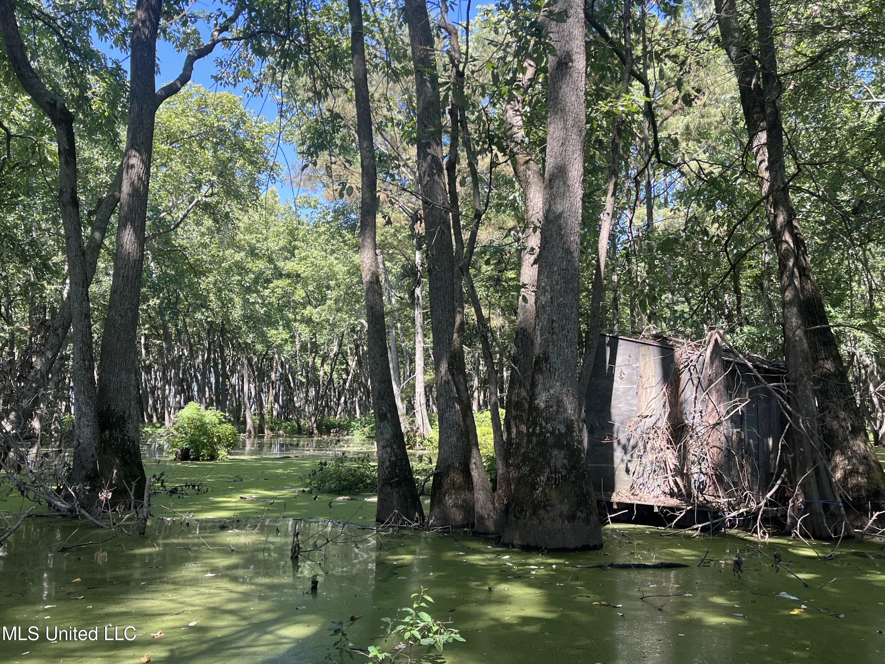 516 County Road Schlater, MS 38952 - Photo 14 of 17 IMG_7838