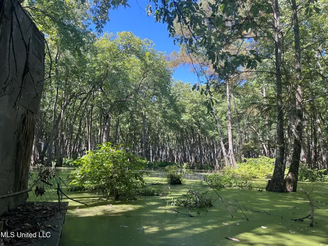 $139,500 | 516 County Road, Schlater, MS 38952