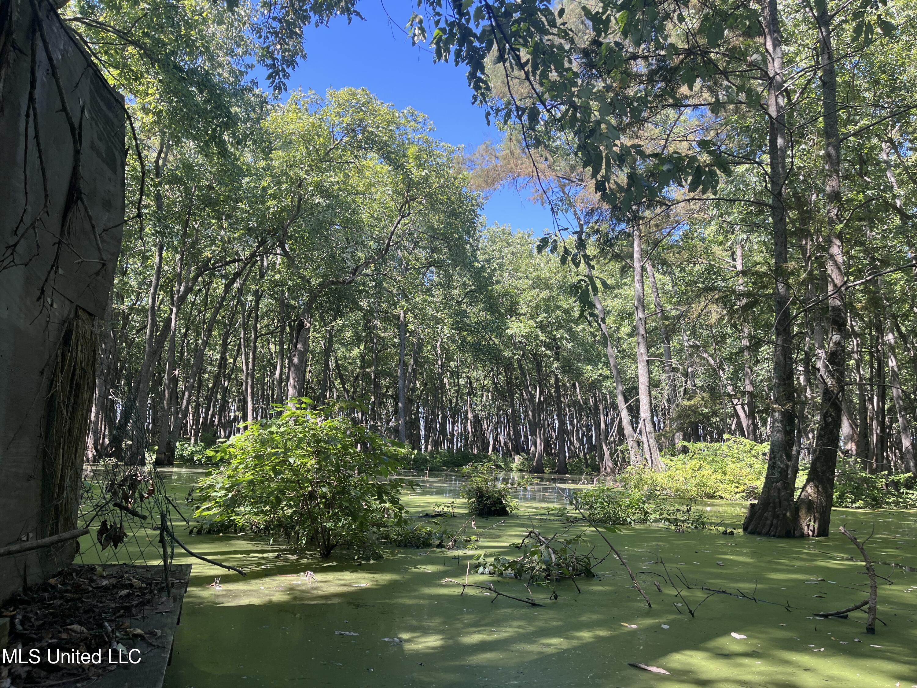 516 County Road Schlater, MS 38952 - Photo 15 of 17 IMG_7841