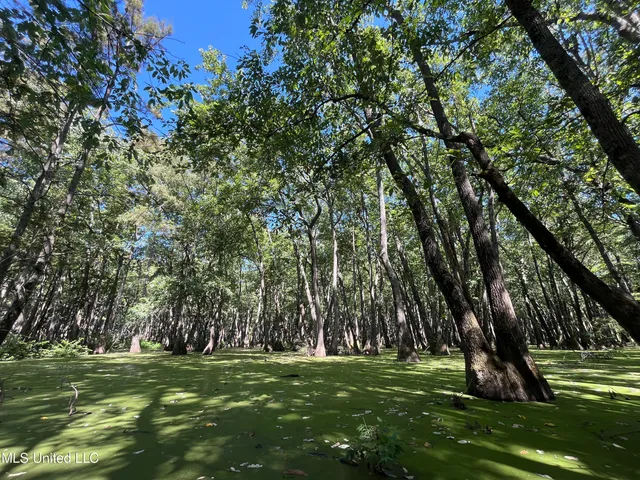 $139,500 | 516 County Road, Schlater, MS 38952