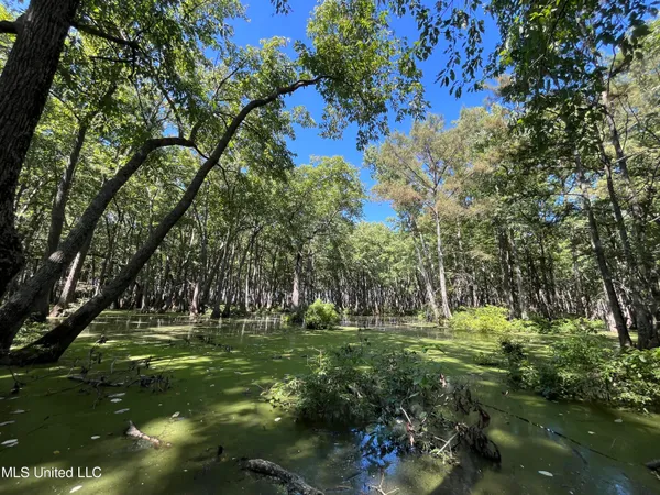 $139,500 | 516 County Road, Schlater, MS 38952
