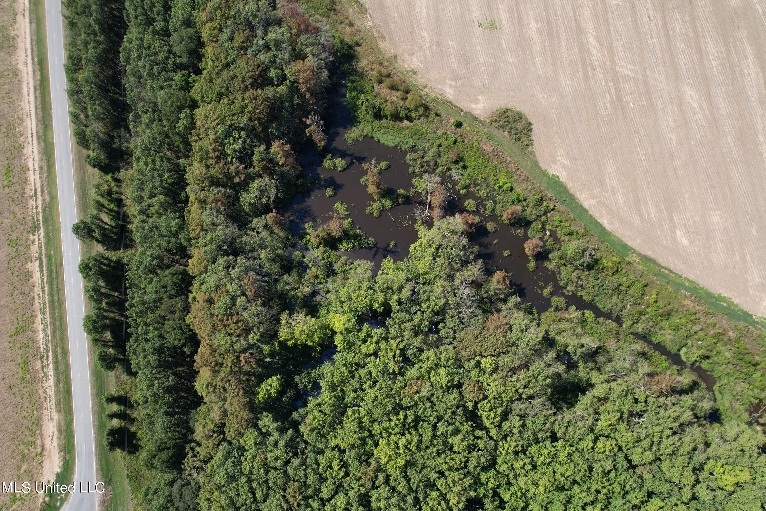516 County Road Schlater, MS 38952 - Photo 2 of 17 DJI_0268