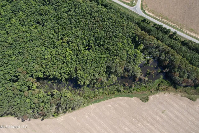 $139,500 | 516 County Road, Schlater, MS 38952