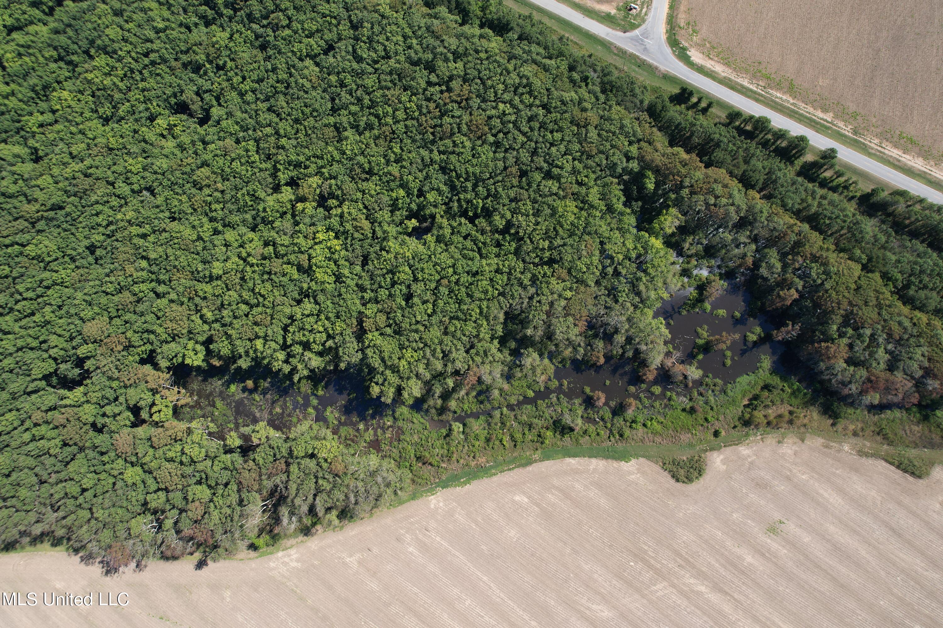 516 County Road Schlater, MS 38952 - Photo 5 of 17 DJI_0271