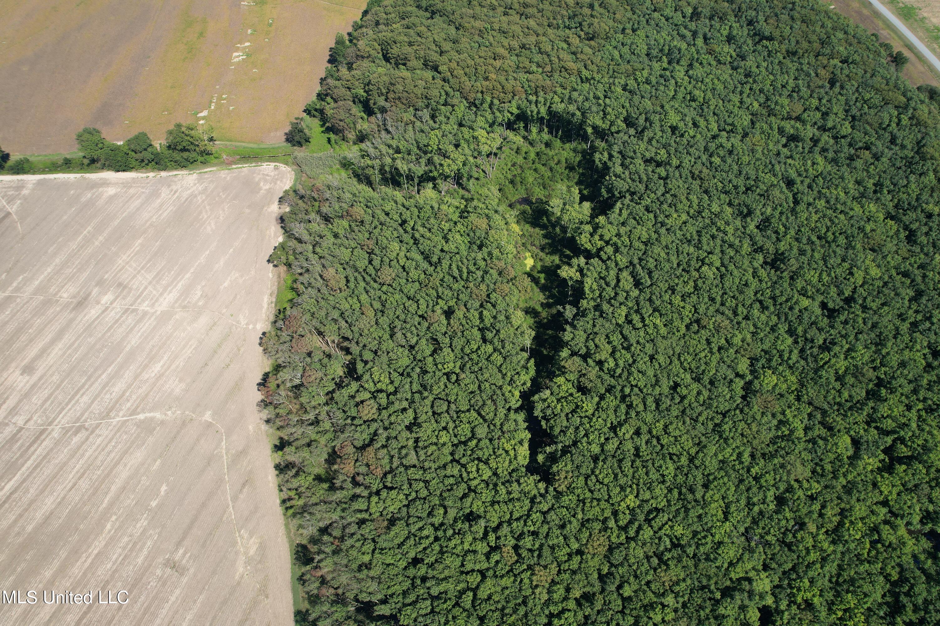 516 County Road Schlater, MS 38952 - Photo 6 of 17 DJI_0272