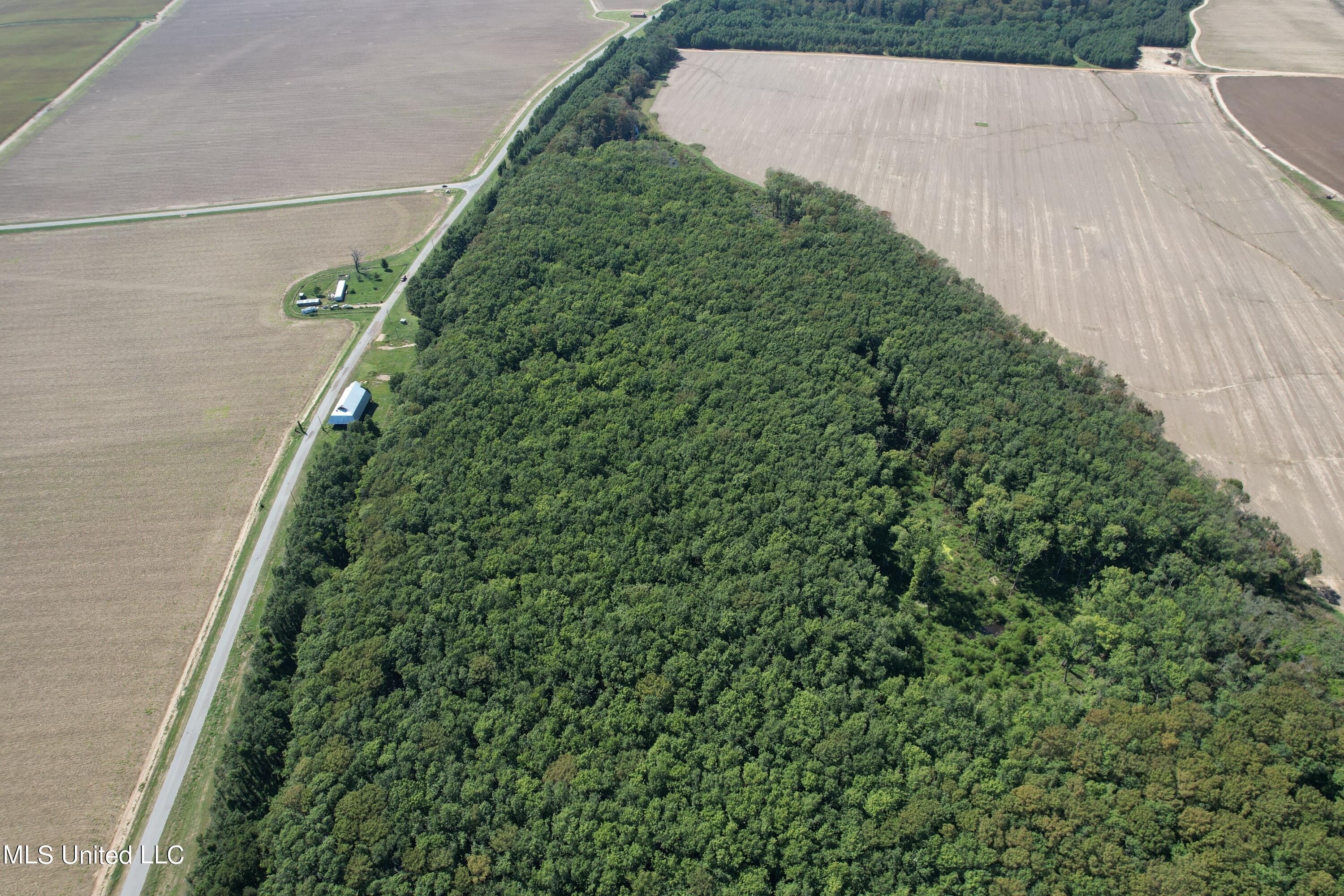 516 County Road Schlater, MS 38952 - Photo 7 of 17 DJI_0273