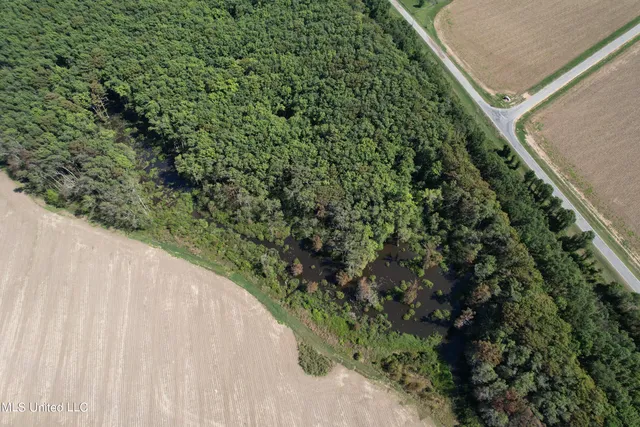 $139,500 | 516 County Road, Schlater, MS 38952