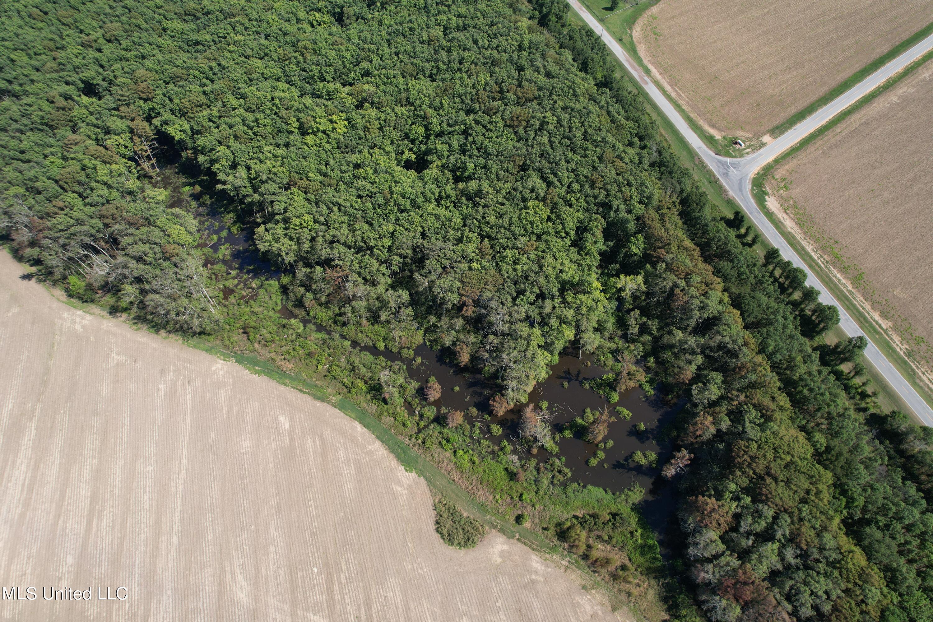 516 County Road Schlater, MS 38952 - Photo 10 of 17 DJI_0277