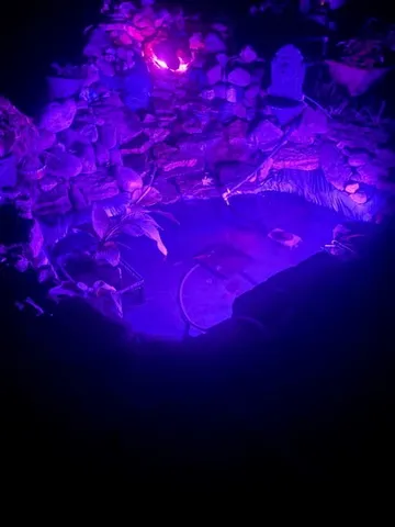 a view of a backyard of the house