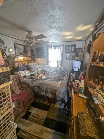 a view of a backyard with plants and a patio