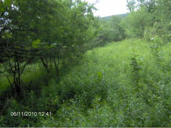Hebard Hill Road Randolph, VT 05060 - Photo 1 of 8 Gallery Image 1