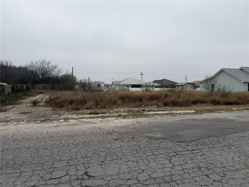 0 North Texas Avenue Freer, TX 78357 - Photo 1 of 2