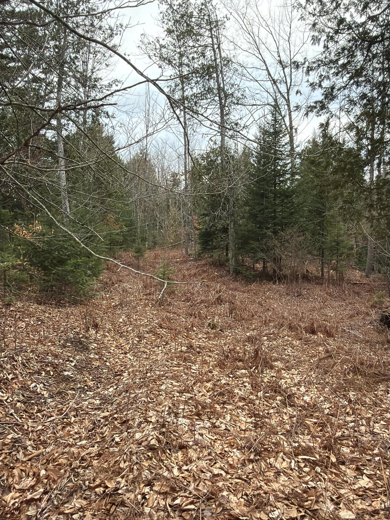 485 Hudson Road Corinth, ME 04427 - Photo 38 of 38 IMG_4766