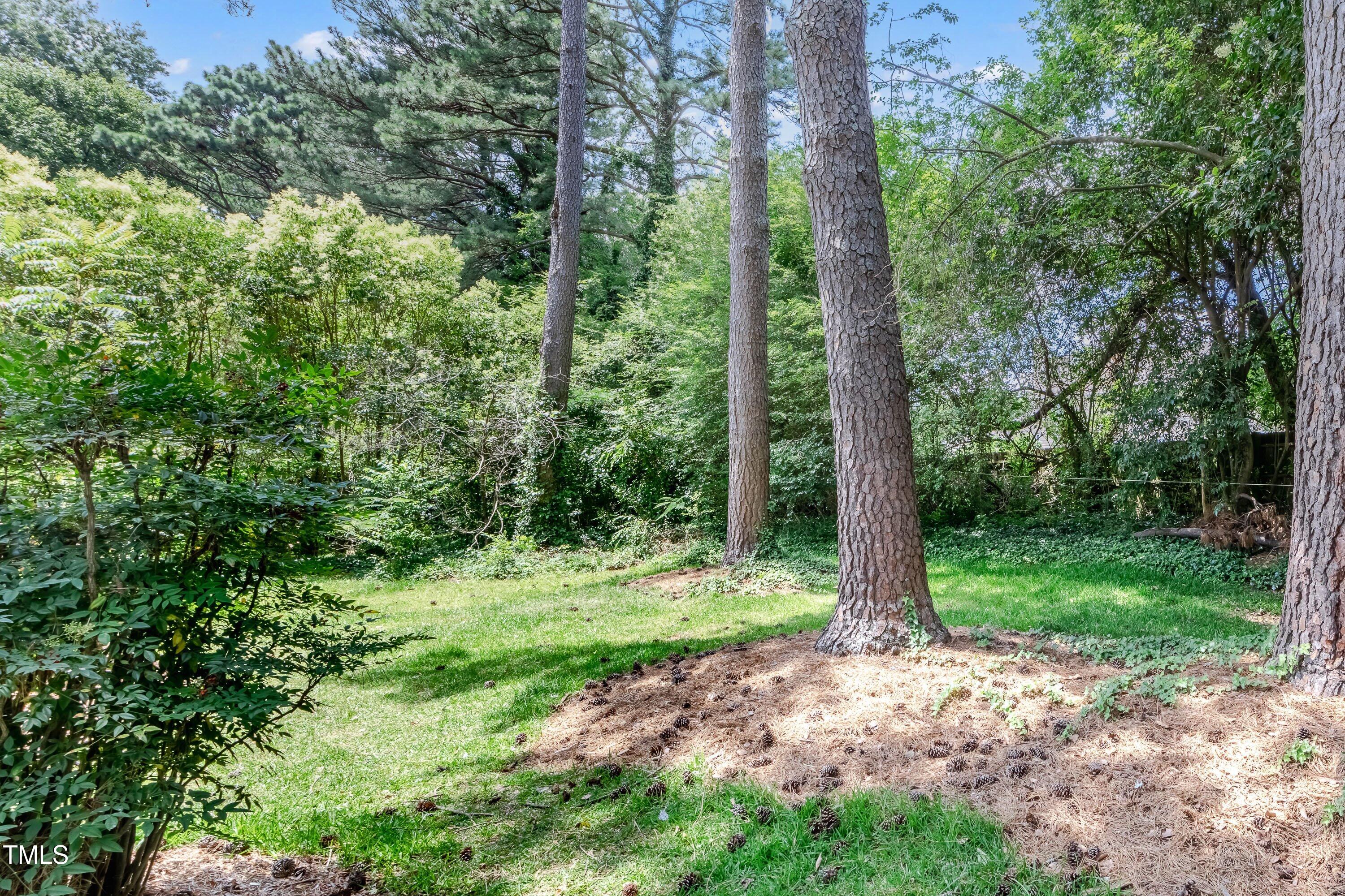 5124 Melbourne Road Raleigh, NC 27606 - Photo 42 of 44 Backyard
