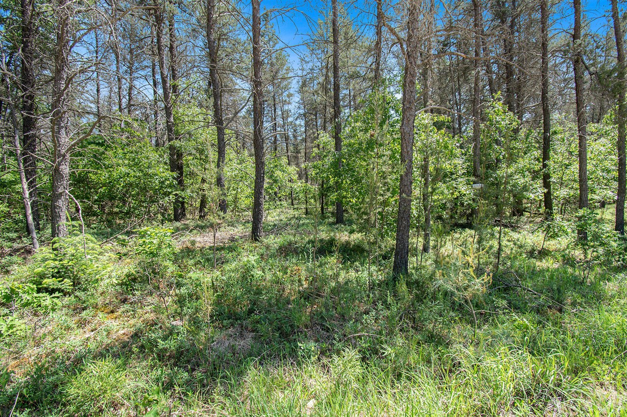 V/l(2.07-a) Deep Wood Road St. Helen, MI 48656 - Photo 3 of 20