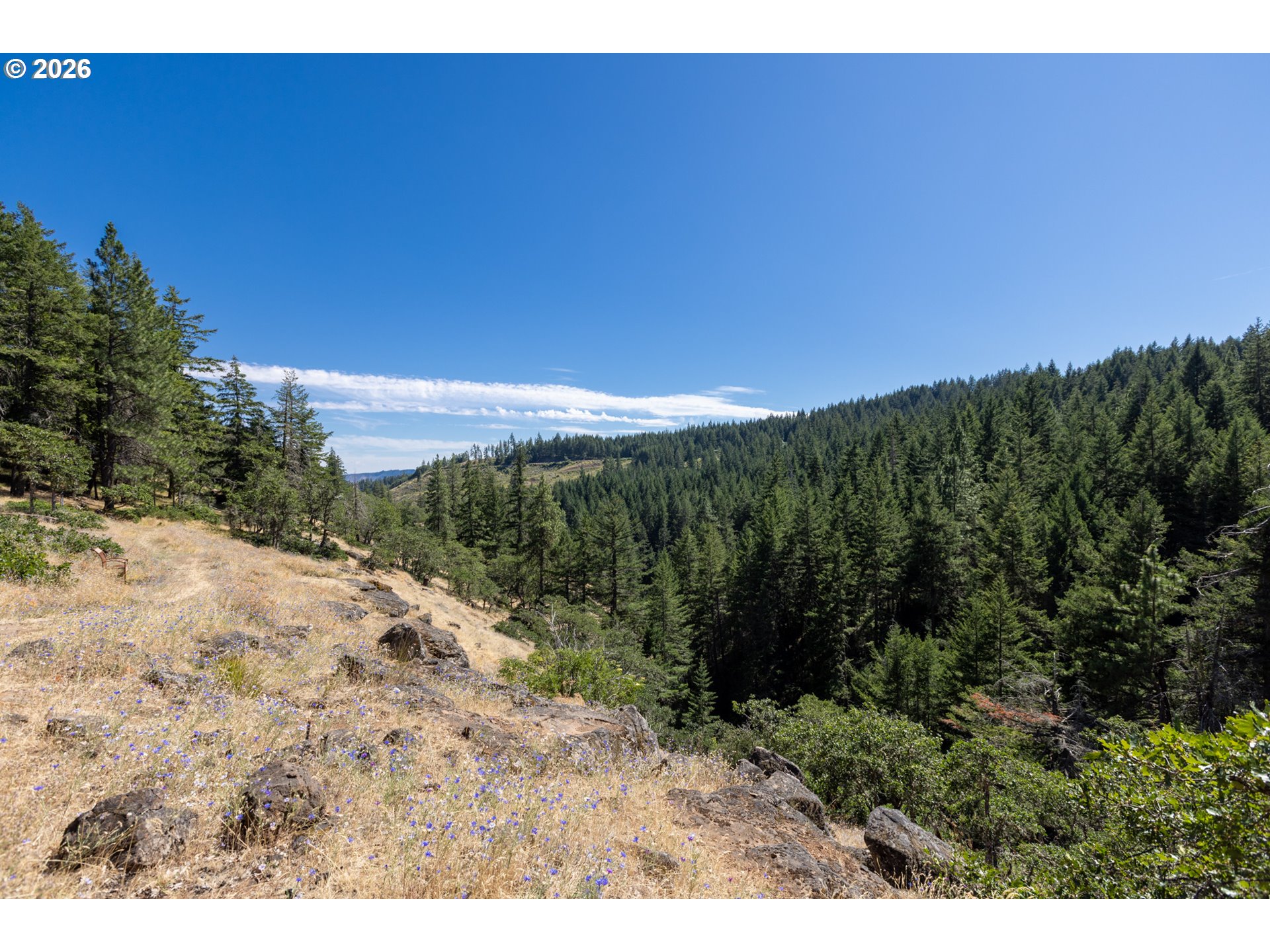 82 Meadows Loop Lyle, WA 98635 - Photo 46 of 48