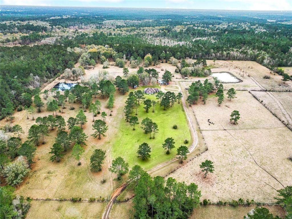 15488 Lake Ramsey Road Covington, LA 70435 - Photo 20 of 23