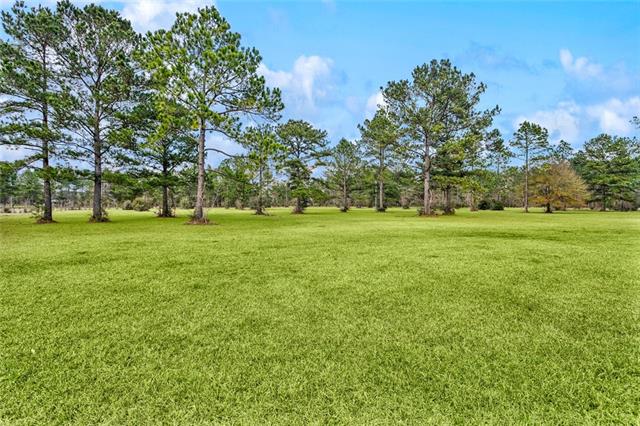 15488 Lake Ramsey Road Covington, LA 70435 - Photo 4 of 26