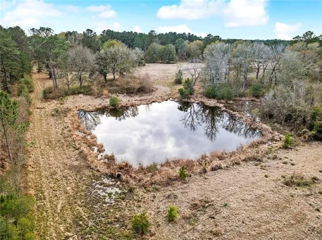 $1,100,000 | 15488 Lake Ramsey Road, Covington, LA 70435