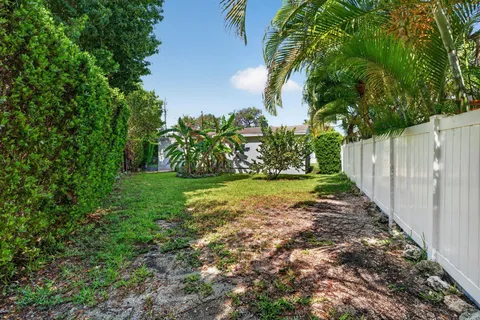 a view of yard