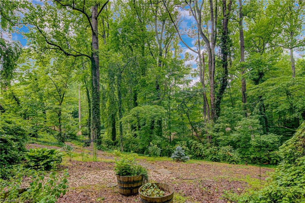 217 South Pine Valley Road Winston-Salem, NC 27104 - Photo 31 of 32