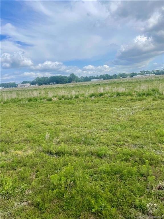 0 Nielson Road Kinder, LA 70648 - Photo 2 of 3