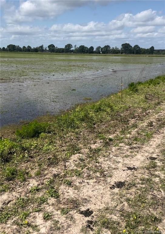 0 Nielson Road Kinder, LA 70648 - Photo 3 of 3