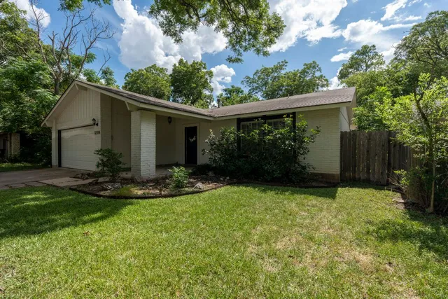 a view of a backyard with plants and large tree