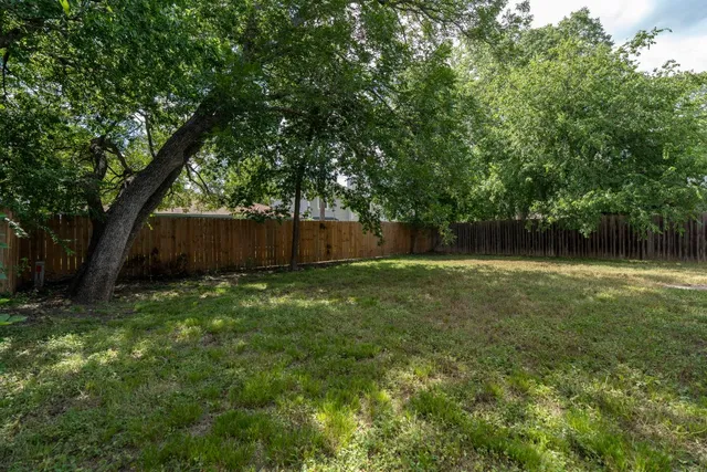 a view of a back yard