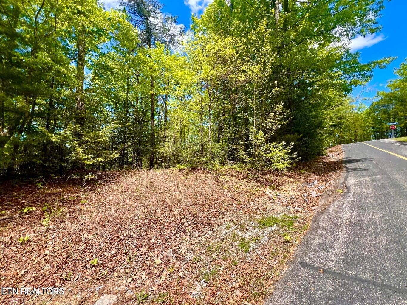 0 Lot 115 Whetstone Road Sevierville, TN 37862 - Photo 5 of 12 a view of a yard with plants and trees