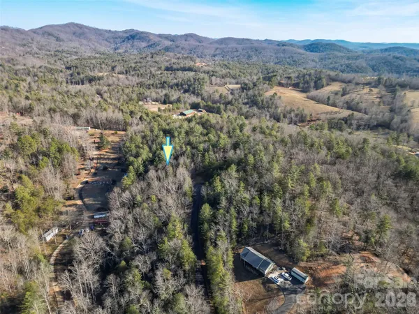 an aerial view of a forest with mountain