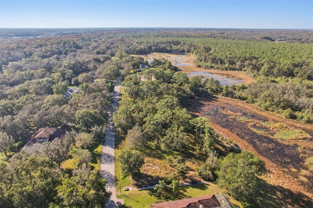 12347 Quail Ridge Drive Spring Hill, FL 34610 - Photo 12 of 20 an aerial view of residential houses with outdoor space