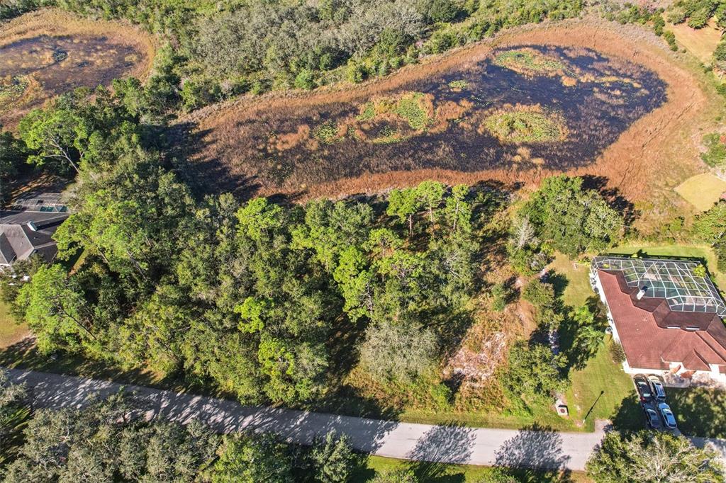 12347 Quail Ridge Drive Spring Hill, FL 34610 - Photo 14 of 20 a view of a garden