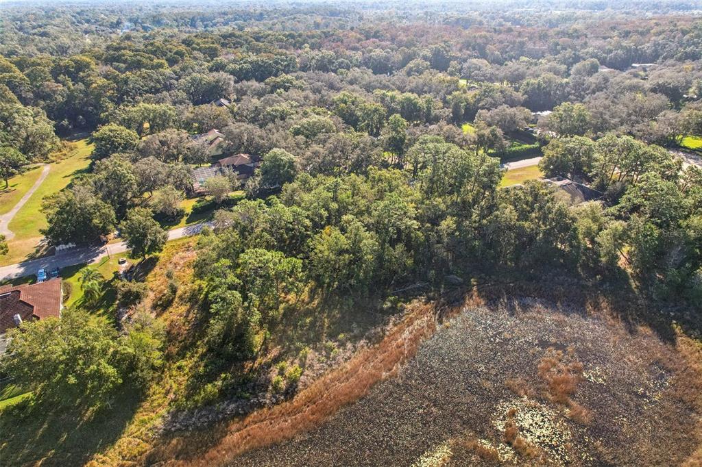 12347 Quail Ridge Drive Spring Hill, FL 34610 - Photo 9 of 20 a view of a lake with a city