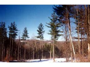 0 Peterkin Hill Road Woodstock, VT 05091 - Photo 5 of 5 Gallery Image 5